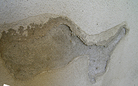 Plaster Blowing off of Wall